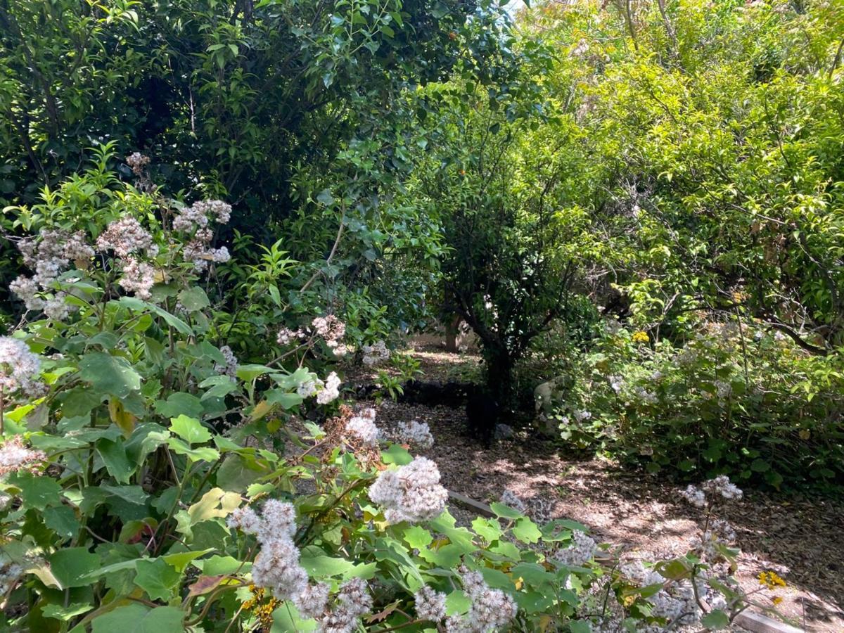 Etna Botanic Garden Apartamento Mascalucia Exterior foto